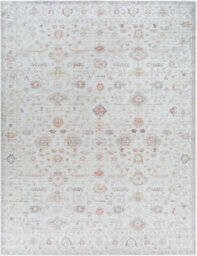 Livabliss Our Pnw Home Spokane-Vintage Ivory Pink Yellow Traditional Boho Living Dining Bedroom Rug 117 X 170 Cm Easy Care, Non Shedding - thumbnail 1