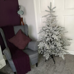 Samuel Alexander 5Ft (1.5M) Grey Frosted Grandis Fir Christmas Tree With Metal Stand - thumbnail 2