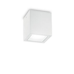 Ideal Lux Luminosa Techo Outdoor Large Surface Mounted Downlight White Ip54, Gu10