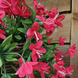 Best Artificial 90Cm Trailing Lily Hanging Basket With 480 Fuchsia Flowers In Rattan Wicker Basket For Indoor Or Garden Use - thumbnail 3