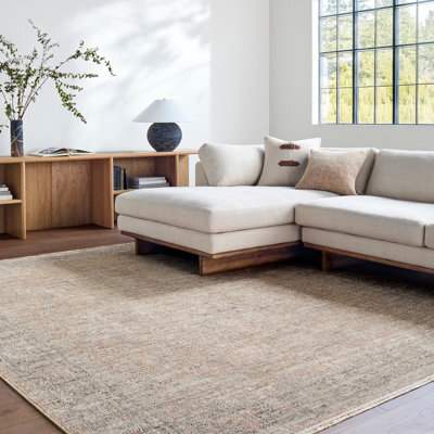 Livabliss Galey Alix Maria Elena Vintage Brown Beige Traditional Boho Fringe Living Room Rug 160 X 213 Cm Easy Care - image 1
