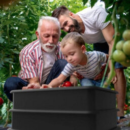 Original Wormery Tiger Wormery 4 Tray Vermicomposting System - Black, Includes Lime Mix, Coir Block & Fine Mesh, 4-Tray Kit - thumbnail 4