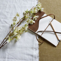 Wyld Haus Set Of 3 Artificial Elaeocarpus Stems - 100Cm Ivory Silk-Look Flowers - thumbnail 5