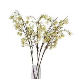 Wyld Haus Set Of 3 Artificial Elaeocarpus Stems - 100Cm Ivory Silk-Look Flowers - thumbnail 2