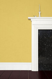 Farrow & Ball Exterior Masonry Mixed Colour Paint 218 Yellow Ground 5L - thumbnail 3