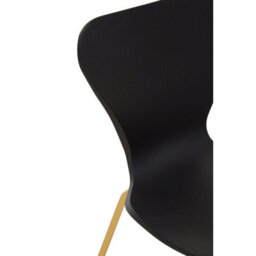 Orsina Versatile Dining Chair With Black Seat, Comfortable Breakfast Room Chair, Elegant Design Outdoor Chair - thumbnail 5