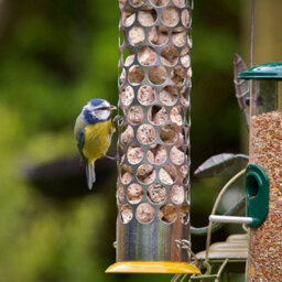 Peckish Suet Ball Nugget Bird Feeder +2Kg Bag Of Extra Goodness Nuggets 60053010 - thumbnail 2
