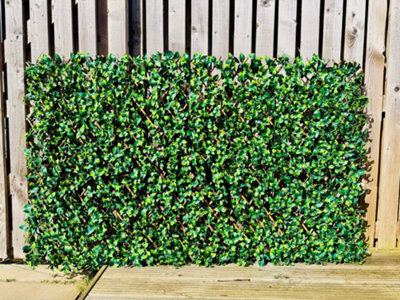 Prime Plus 2M (W) X 1M (H) Expandable Faux Laurel Leaf Willow Screening - image 1