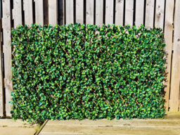 Prime Plus 2M (W) X 1M (H) Expandable Faux Laurel Leaf Willow Screening - thumbnail 1