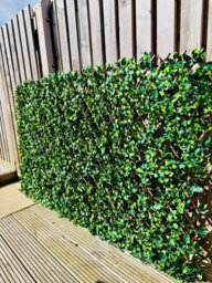 Prime Plus 2M (W) X 1M (H) Expandable Faux Laurel Leaf Willow Screening - thumbnail 6