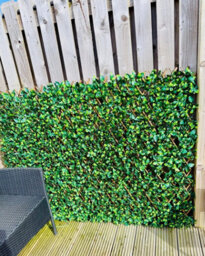 Prime Plus 2M (W) X 1M (H) Expandable Faux Laurel Leaf Willow Screening - thumbnail 4