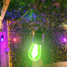 Lighting Legends 30M Multi Colour Heavy Duty Elite Festoon Plug-In Waterproof Outdoor String Lights - thumbnail 4
