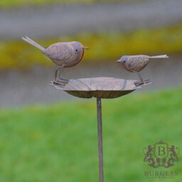 Burgess Robin On Flower Bird Feeder Bath Outdoor Metal Garden Ornament - thumbnail 3