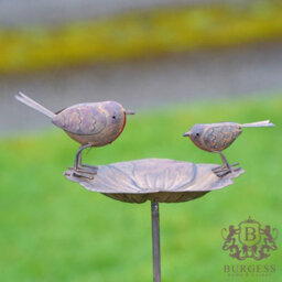 Burgess Robin On Flower Bird Feeder Bath Outdoor Metal Garden Ornament - thumbnail 1