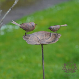Burgess Robin On Flower Bird Feeder Bath Outdoor Metal Garden Ornament - thumbnail 5