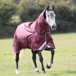 "Highlander Plus Combo Neck 100G Horse Turnout Rug Maroon (6 3"")" - thumbnail 1