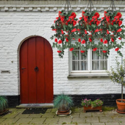 Neel Blue Red Artificial Rose Flower Hanging Vines Silk Garland, 18 Flowers, 110Cm(3.6Ft) - thumbnail 4