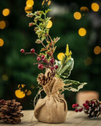 20Cm Mini Artificial Christmas Tree - thumbnail 1