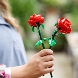 Lego Creator 40460 Roses Artificial Flowers Playset - thumbnail 6