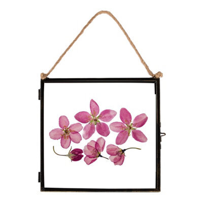 "Nicola Spring Hanging Metal Photo Frame - 8"" X 8"" - Black - Picture Frame Wall Mounted Frame With Rope" - image 1