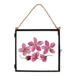 "Nicola Spring Hanging Metal Photo Frame - 8"" X 8"" - Black - Picture Frame Wall Mounted Frame With Rope" - thumbnail 1