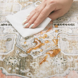 Decoranddecor Area Rugs, Living Room Rugs, Washable Rugs, 160X230Cm, Non-Slip, Pet Friendly, Low Pile, Traditional Rug - Novera - thumbnail 9