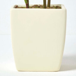 Homescapes Artificial Cream Handcrafted Peonies In Decorative Cream Pot, 48 Cm - thumbnail 4