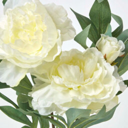 Homescapes Artificial Cream Handcrafted Peonies In Decorative Cream Pot, 48 Cm - thumbnail 5