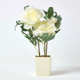 Homescapes Artificial Cream Handcrafted Peonies In Decorative Cream Pot, 48 Cm - thumbnail 2