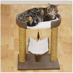 Rosewood Natural Cat Scratchers Saffron - thumbnail 3
