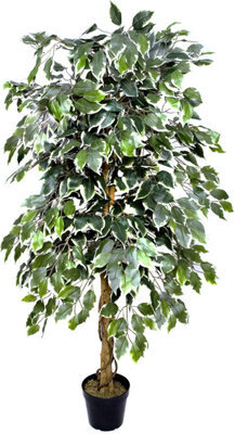Greenbrokers Premium Artificial Variegated Ficus Tree 160 Cm Potted Plant - image 1