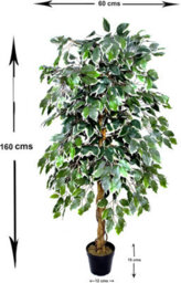 Greenbrokers Premium Artificial Variegated Ficus Tree 160 Cm Potted Plant - thumbnail 2