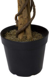 Greenbrokers Premium Artificial Variegated Ficus Tree 160 Cm Potted Plant - thumbnail 3