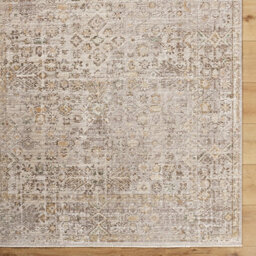 Livabliss Galey Alix Myrtle Avenue-Vintage Beige Grey Brown Traditional Boho Fringe Living Dining Bedroom Rug 160 X 230 Cm Easy Care - thumbnail 6