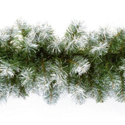 Premier Snow Tipped Artificial Garland Green (One Size)