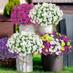 10 Pack Uv Resistant Outdoor Artificial Flowers, Fake Flower Bouquets, Artificial Plants For Outdoor And Indoor Use (White) - thumbnail 5