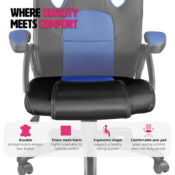 Tectake Gaming Chair Mike - Ergonomic Shape, Thick Padding, Stepless Height Adjustment - Black/blue - thumbnail 8