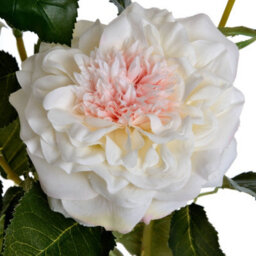Hill Interiors Uk Homeliving White Garden Rose Spray - thumbnail 5