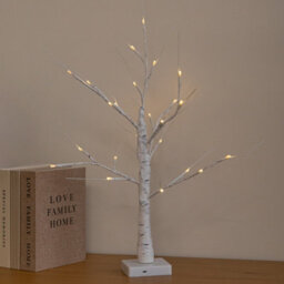 Samuel Alexander 60Cm Battery Powered Light Up Christmas Birch Tree With 24 Warm White Leds - thumbnail 1
