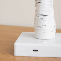 Samuel Alexander 60Cm Battery Powered Light Up Christmas Birch Tree With 24 Warm White Leds - thumbnail 5