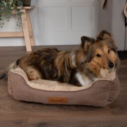 Scruffs Cosy Multicolour Dog Bed (W)50Cm (D)60Cm Medium - thumbnail 7