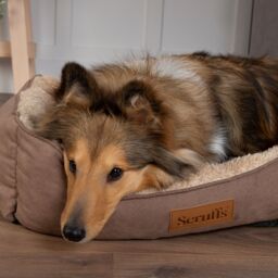 Scruffs Cosy Multicolour Dog Bed (W)50Cm (D)60Cm Medium - thumbnail 8