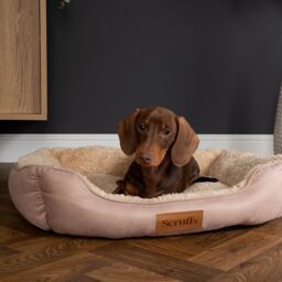 Scruffs Cosy Multicolour Dog Bed (W)50Cm (D)60Cm Medium - thumbnail 6
