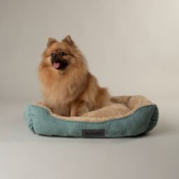 Scruffs Cosy Multicolour Dog Bed (W)50Cm (D)60Cm Medium - thumbnail 3