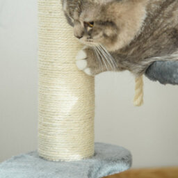 Pawhut 65Cm Cat Tower, Small Cat Condo With Sisal Posts, Rope, Perches Grey - thumbnail 9