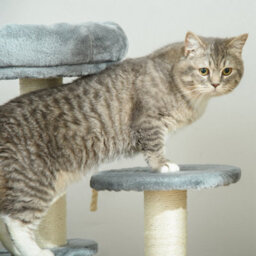 Pawhut 65Cm Cat Tower, Small Cat Condo With Sisal Posts, Rope, Perches Grey - thumbnail 8