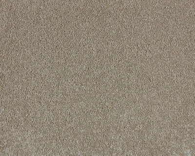 Soft Perfection Luxury Carpet By Remland (Limestone, 3M X 4M) - image 1