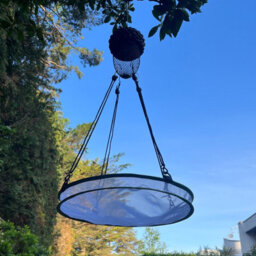 Selections Large Mesh Bird Feeder Seed Catcher Tray (Set Of 2) - thumbnail 2
