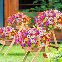 6 Bouquets Of Artificial Flowers In Purple, White, Yellow, Pink, And Red Plastic Artificial Plant Decoration - thumbnail 5