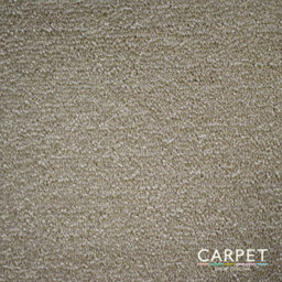 Carpet Shop Online Charm Modern Beige Twist Carpet 2.5M X 4M - thumbnail 1